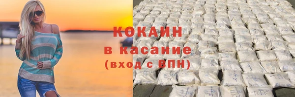 индика Абинск