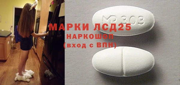 индика Абинск