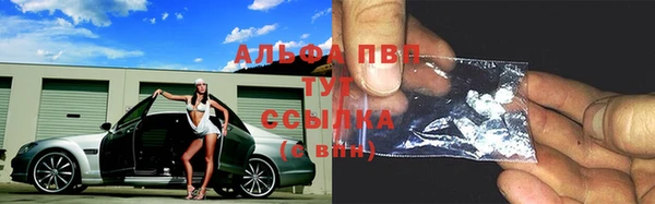 индика Абинск