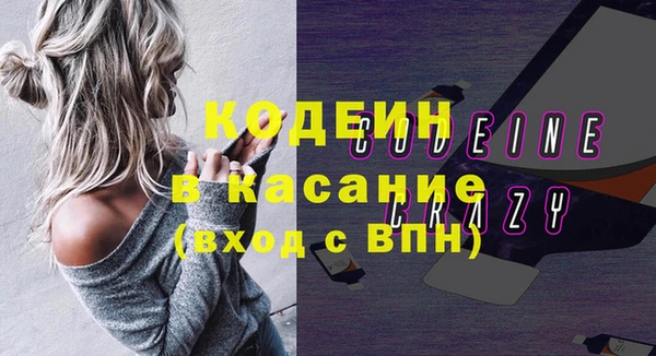 индика Абинск
