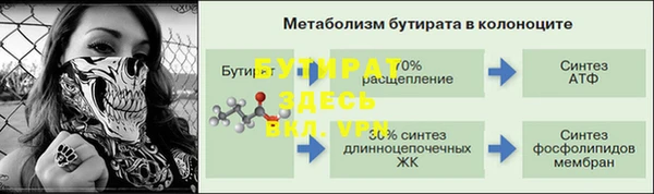 индика Алексин