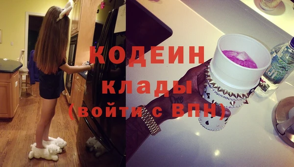 индика Абинск