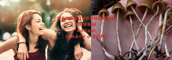индика Абинск