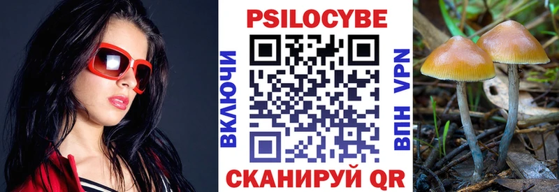 Псилоцибиновые грибы Psilocybe где продают наркотики Инсар
